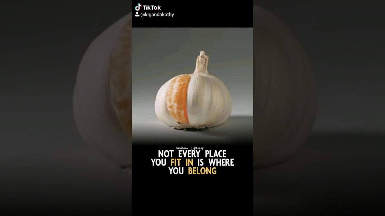 Not a every place you fit in