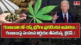 88 శాతం అమెరికన్లు గంజాయి అనుమతికి డిమాండ్‌..! | America Legalize Marijuana? | INDIA 360 | hmtv