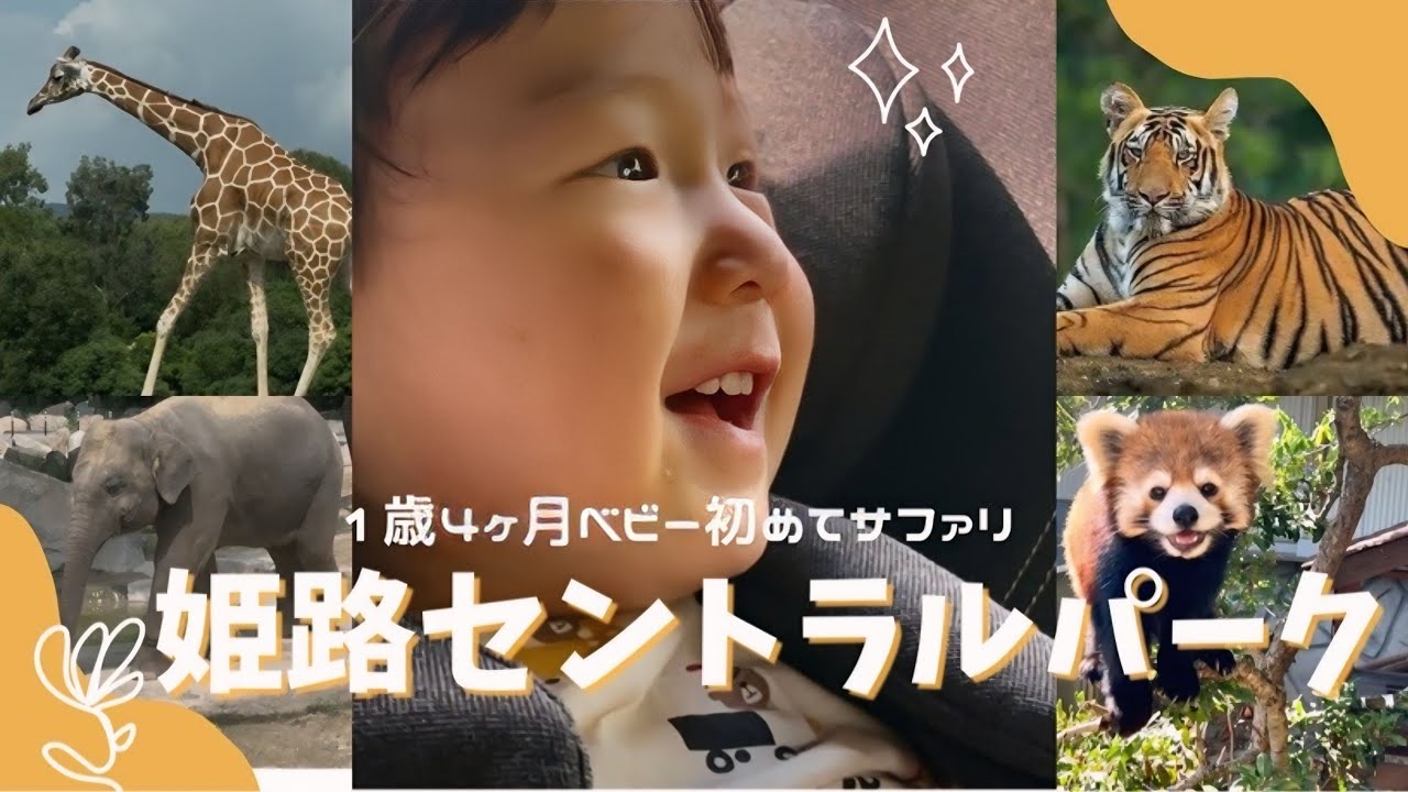 【1歳4ヶ月】初めてのサファリパーク！大迫力に大興奮！！