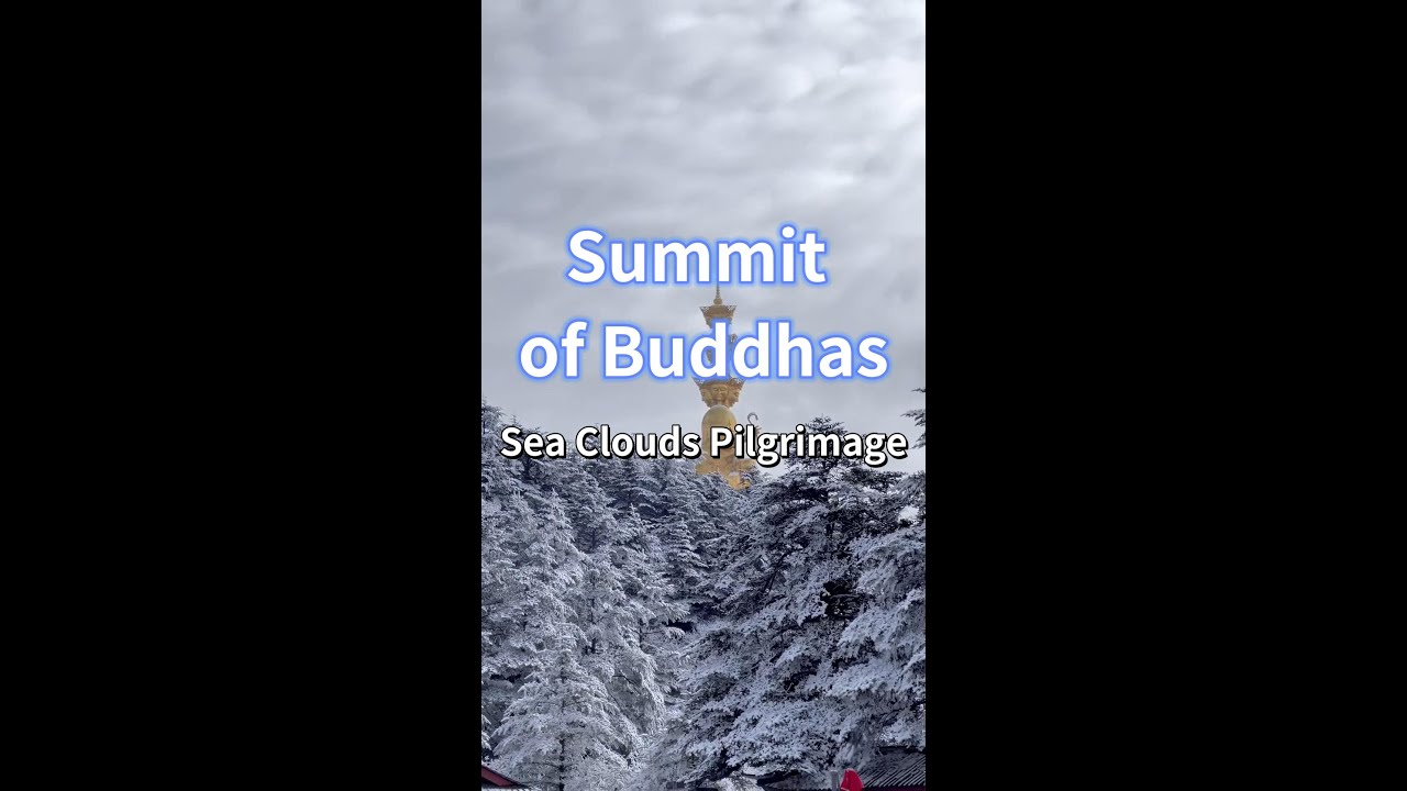 Breathtaking Mount Emei Golden Summit: 3079m Views of Snowy Peaks & Clouds 🔹CN 