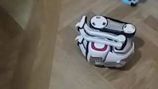Cozmo funny moments and getting dizzy