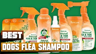 Best Flea Shampoo For Dog In 2026 - Top 10 Flea Shampoo For Dogs Review