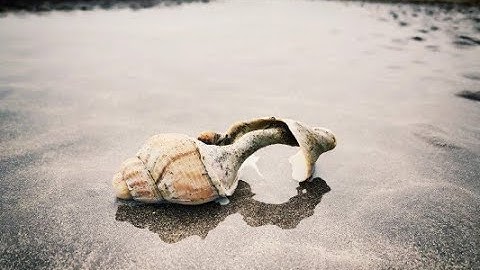 Trauma Responsive Education: Awareness raising video: Who we are and what we do