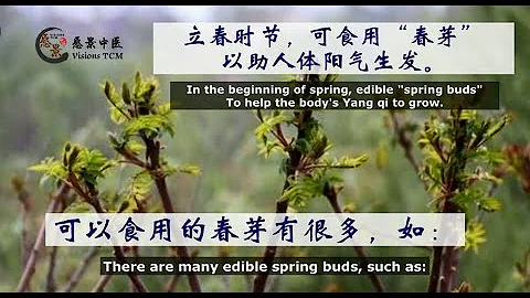 1分钟了解 - 立春的习俗&养生（1 mins to learn Spring Begins's Customs & Health Preserve）- 24节气之【立春 Spring Begins】 - 天天要闻