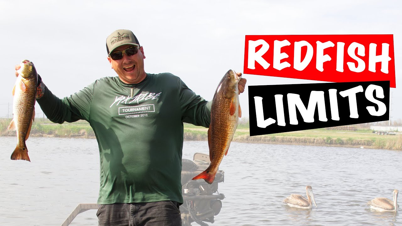 Catching REDFISH LIMIT in the MARSH (Louisiana Redfishing) YouTube