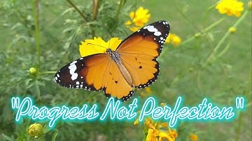 Progress Not Perfection (Motivational Speech)