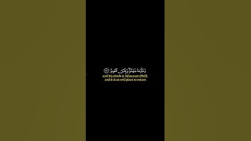 قران كريم سورة الأنفال الايات 15 _ 16 بتلاوه الشيخ ياسر الدوسري ☘️🩶 .