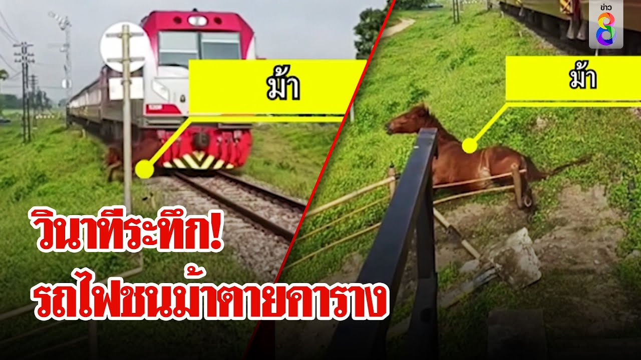 ม้าเหล็กชนม้าตายกลางคาราง 12 พ.ย. 67