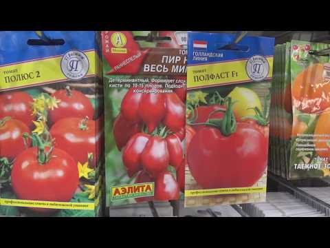Как правильно выбрать семена для рассады?