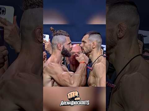 Jiri Prochazka vs Aleksandar Rakic