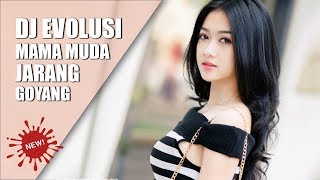 DJ TERBARU 2018 DIANA VS KARMILA REMIX # NEW 2018.