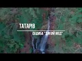 Садиба "Дикий мед" :: Татарів