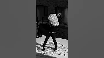 احمد سعد الناس تفوت وإنتي اللي ثابته بدون شروط سكني وأماني وملجئي فهماني حتى في السكوت يا سبب فرحتي 