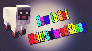 Minecraft | Color Changing Sheep | No Plugins 1.7.4
