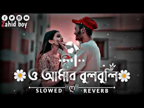 O Amar Bulbuli Sonar Moyna Re        Slowed Reverb Lofi Song  Bangla Son