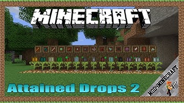 Attained Drops 2 Mod 1.16.5/1.12.2/1.10.2 & Tutorial Downloading And Installing For Minecraft