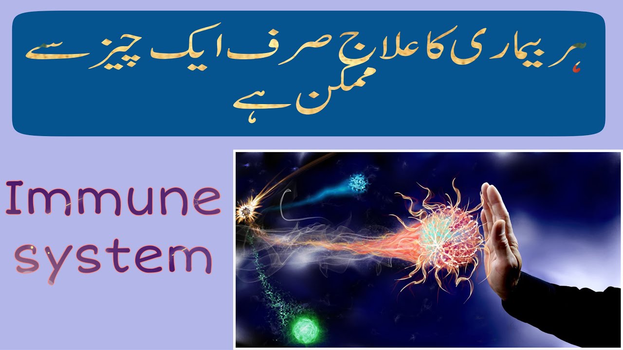 What should you do to boost your immune system fast - YouTube