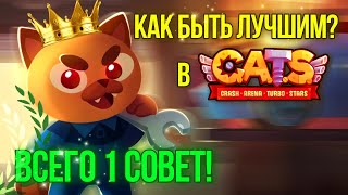 Всего 1 СОВЕТ Как Достичь УСПЕХА в C.A.T.S!