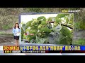 台中和平甜柿.西瓜李「雨襲落果」 農民心淌血 2026/06/09【吳宇舒晚報】@newsebc