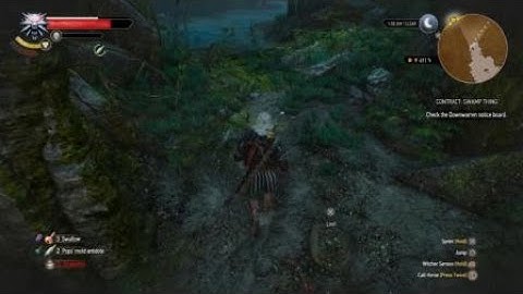 The Witcher 3: Contract swamp thing