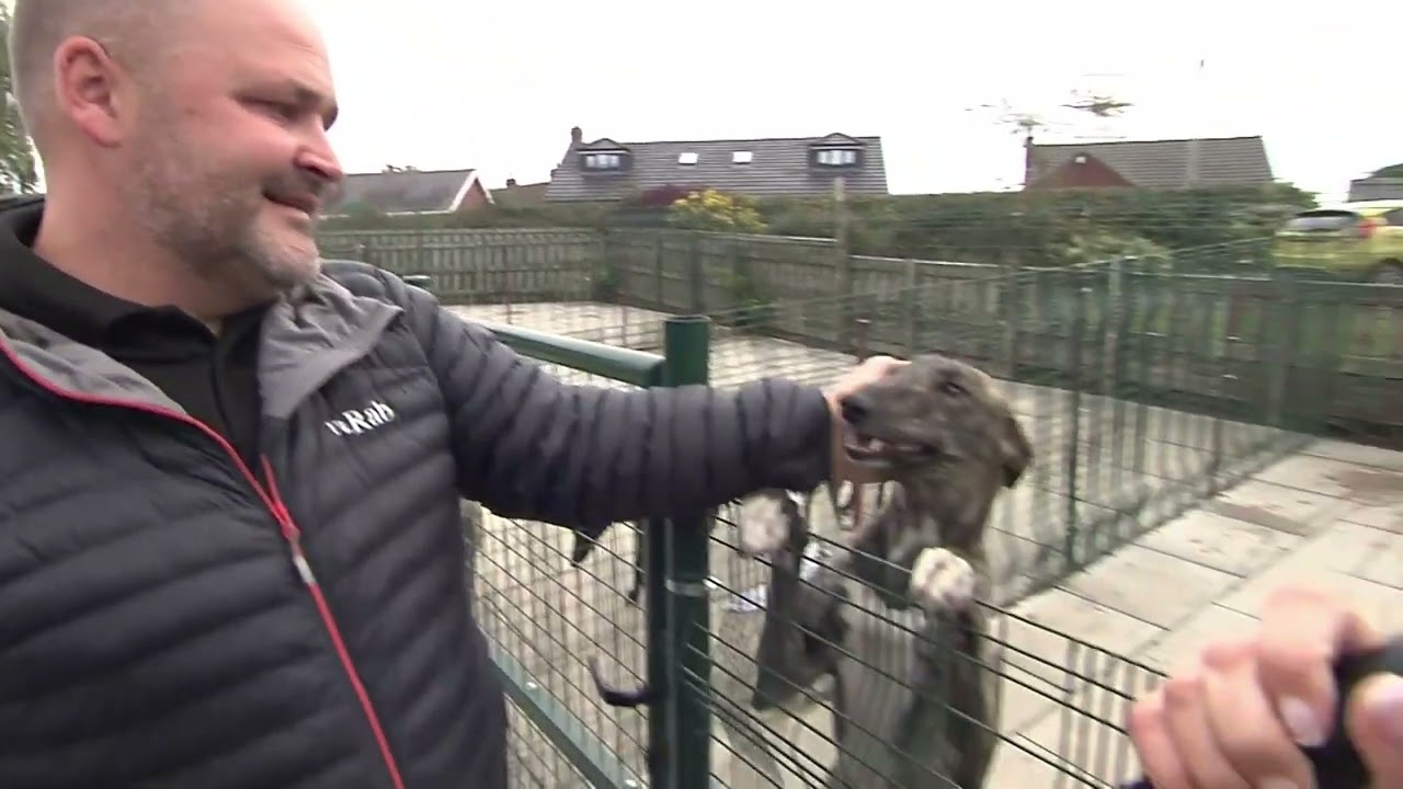 Phil Barlow Kennel Visit | Pups | October 2022 | RPGTV Kennel Visits