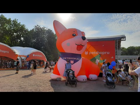 PETSHOP DAYS 2022