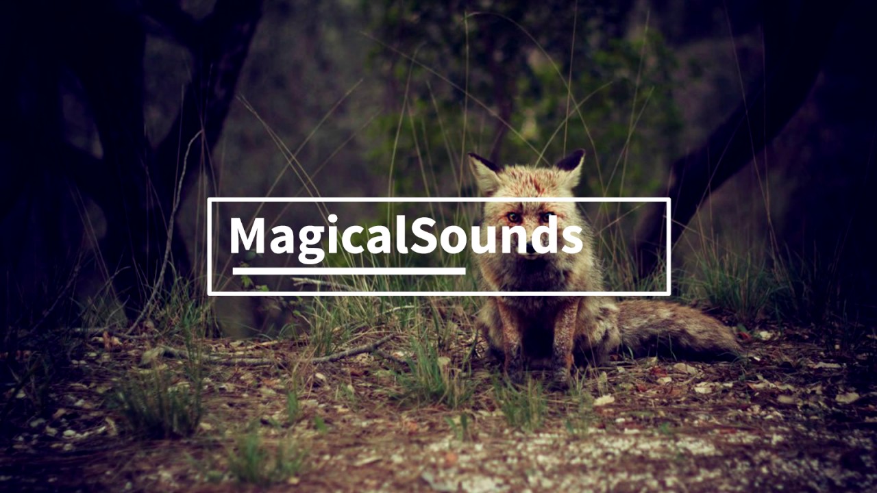 Ed Sheeran & Sia Mashup Shape Of You Cheap Thrills YouTube