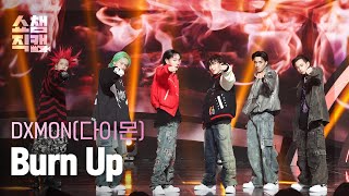 [쇼챔직캠 4K] DXMON - Burn Up (다이몬 - 번 업) | Show Champion | EP.503 | 240131