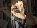 Here Is Your Dads Favorite Surfboard