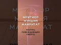 Великая Мантра Исцеления Богатства Защиты ~ Побеждает любую болезнь