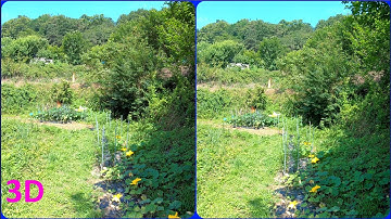 Green Bushes,  3D video, Stereogram, Magic eye, 3D SBS, Hyper Stereo