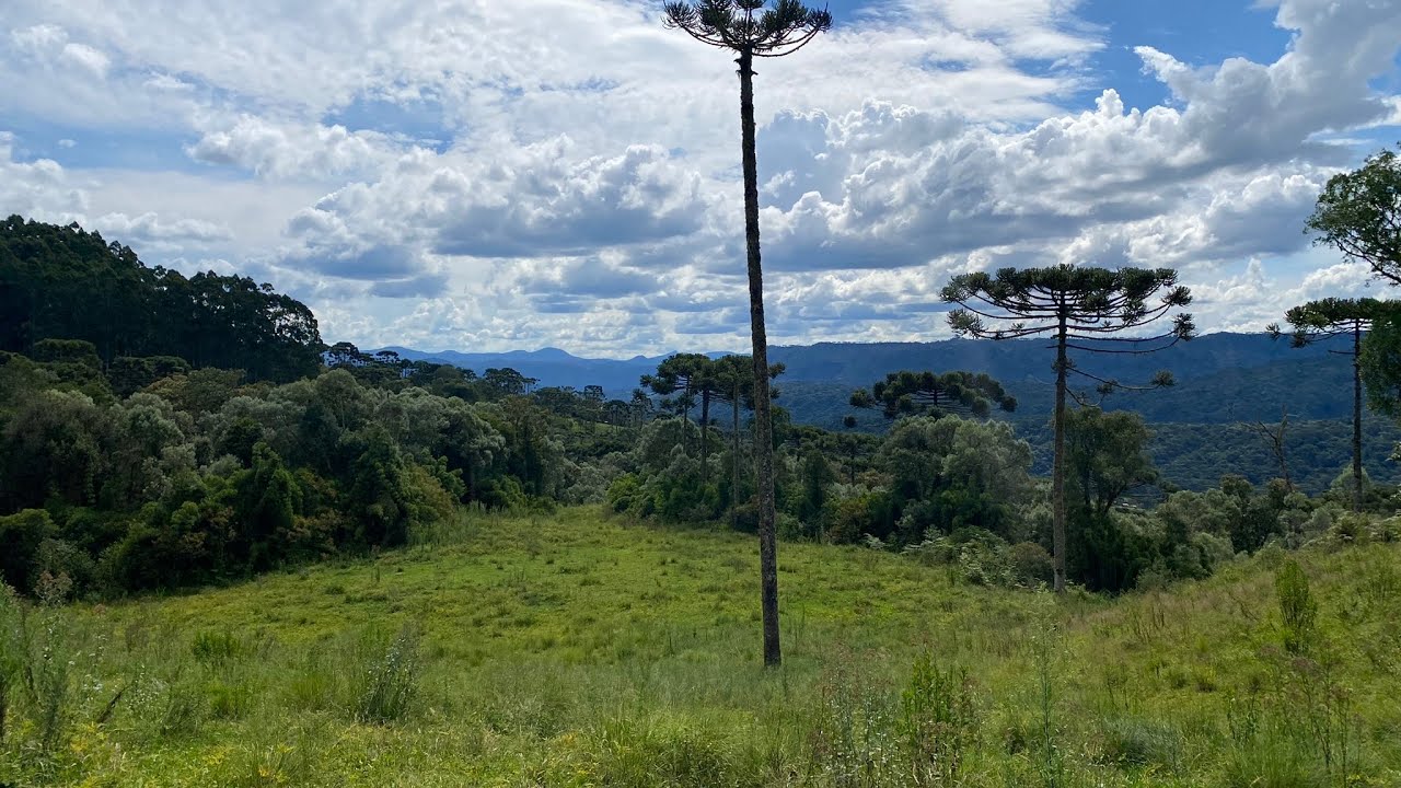 Terreno pra vender em Urubici. 4 hectares