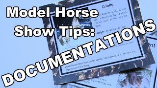 Model Horse Showing Tips: Documentations