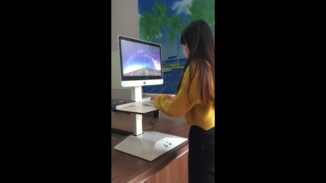 Electric Standing Desk