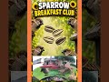🐦 Sparrow Breakfast Club 🌻