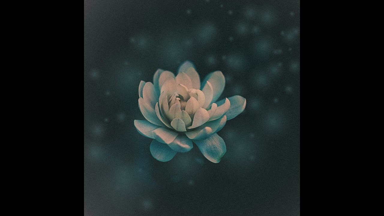 Watch John Tyler - Run (Audio) on YouTube Watch John Tyler - Run (Audio) on YouTube