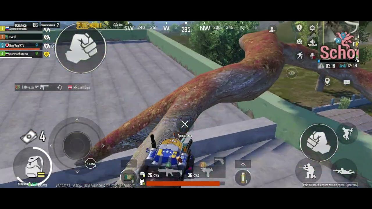 20 февраля 2026 г.