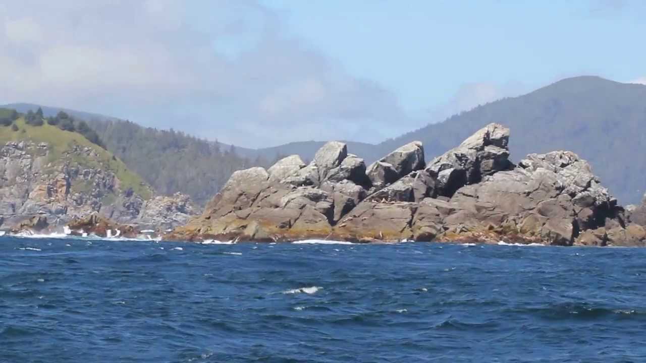 Windiest Place In Canada Cape St. James YouTube