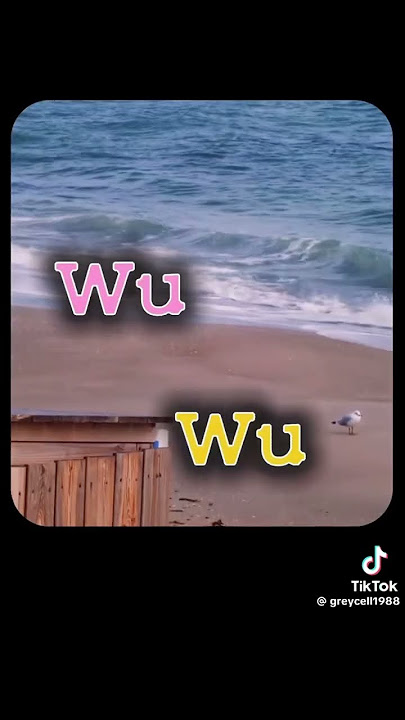 Hopecore caT WIWI! #viralvideo #notmine #tiktok #cats #hopecore