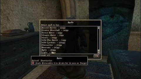 Lets Interactively Play Morrowind Part 30: and buying some spells (part 2 of 2)