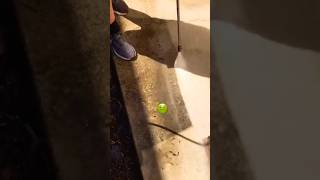 Pressure Wand Cleaning 🧼#satisfying #cleaning #mold #pressurewashing #powerwashing #pavercleaning
