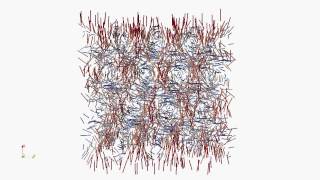 Blue Phase director field - secondary flow