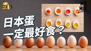 #MM日本雞蛋最好食茶記炒蛋好食秘密要溝蛋 本地新鮮雞蛋每日限量300隻#美味道來 #4K