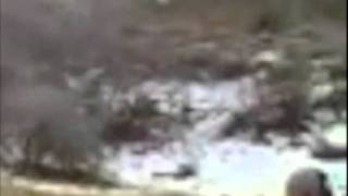 #18 of 62 Sasquatch startled while watching kids shoot    bigfoot sightings