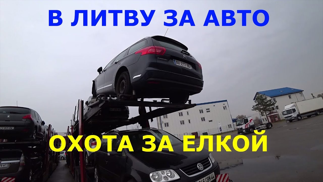 Авто охота манхва