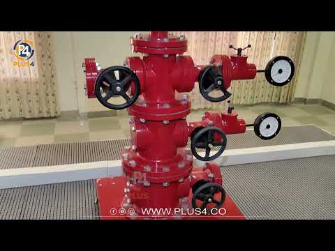 هەلێکی زێڕین لەپەیمانگەی ڕاهێنانی کەرکوکەوەبۆچی دیلان غەفور خۆی گەیاندە پەیمانگەکە 