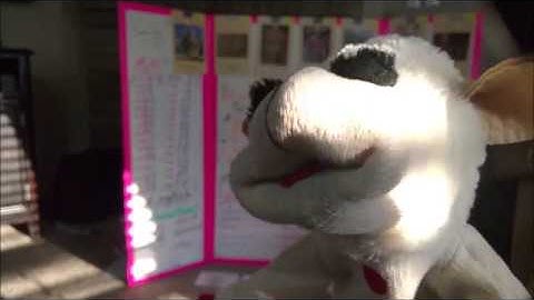 CC Cycle 1 Week 3 New Memory Work