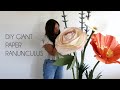 Diy giant paper ranunculus flower backdrop how to make paper flowers