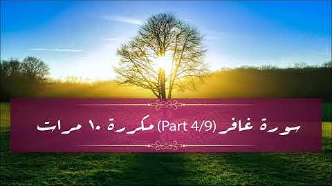 Surah Ghafir (part 4/9) repeated 10 times - سورة غافر (part 4/9) مكررة 10 مرات