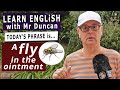 Is there a FLY in the OINTMENT? - Learn English phrases with Mr Duncan #englishaddictwithmrduncan